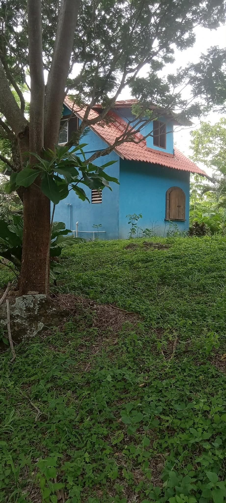 Blue cabin with red tile roof and arched wooden shutters