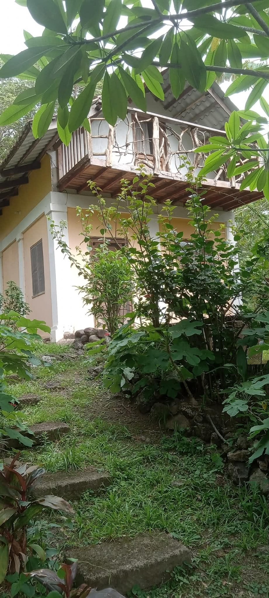 Two-story cabin with a balcony railing hand-woven from monkey vine, garden steps leading up