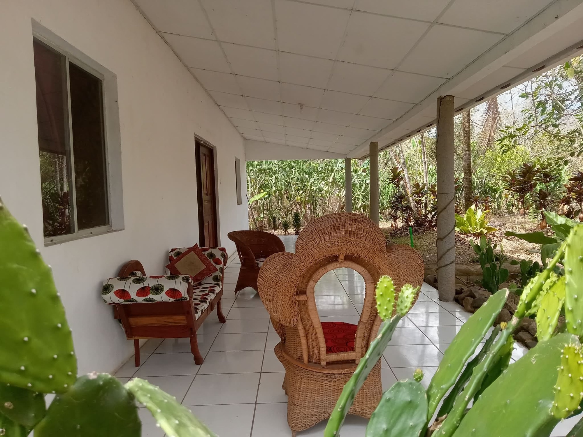 Tiled veranda with handmade wicker chairs opening onto the garden